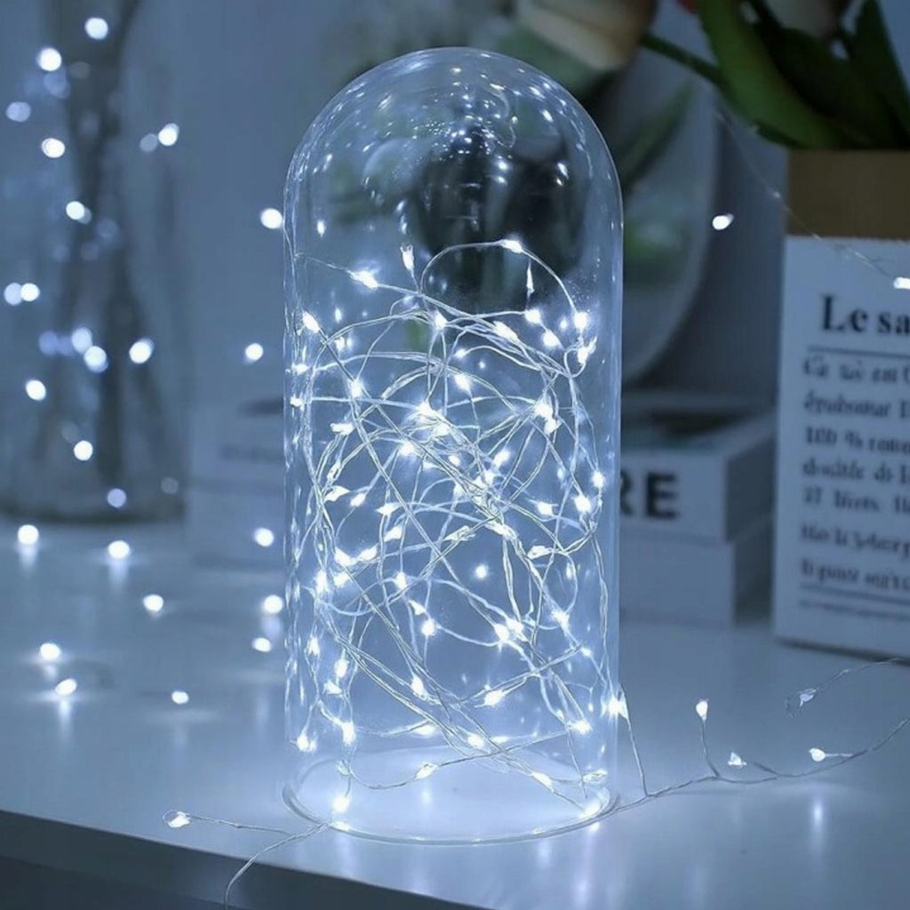 100 LED String Light Garland 3m White Cool with 8 Functions Remote USB