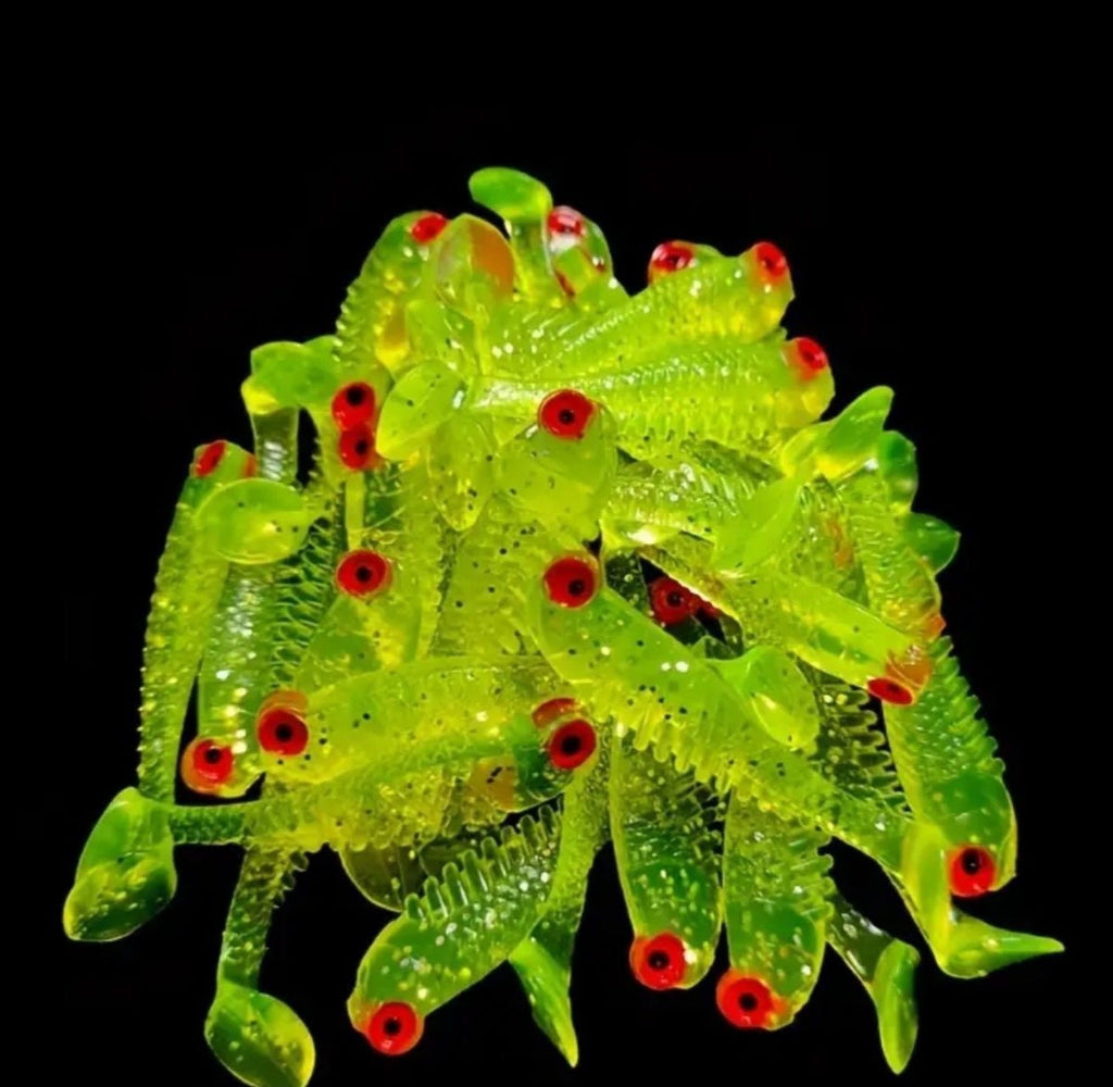 10 tk pehmed bioonilised T-sabaga kalapüügipeibutised 5x1 cm (10 tk)