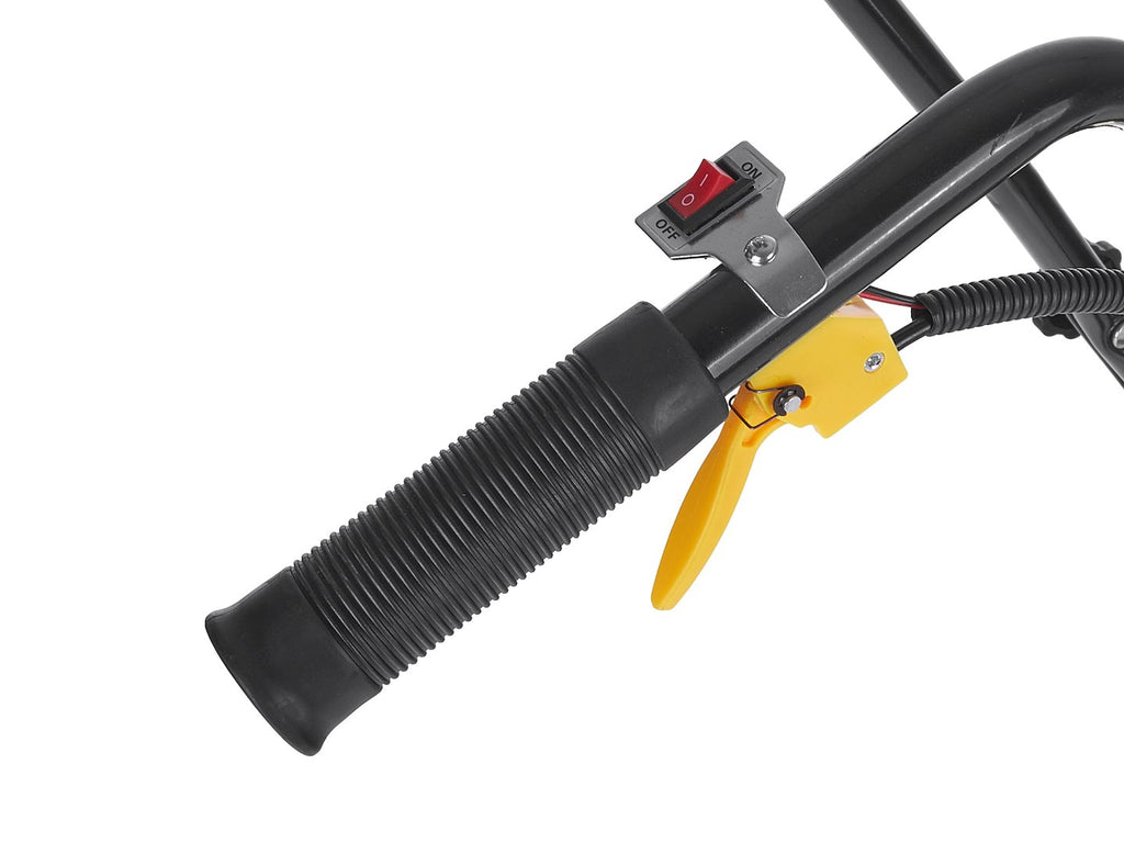 Petrol Tiller 30 cm