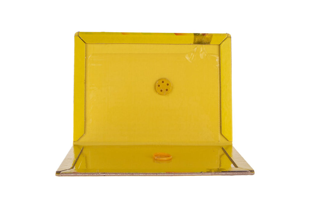 Glue Mouse Trap