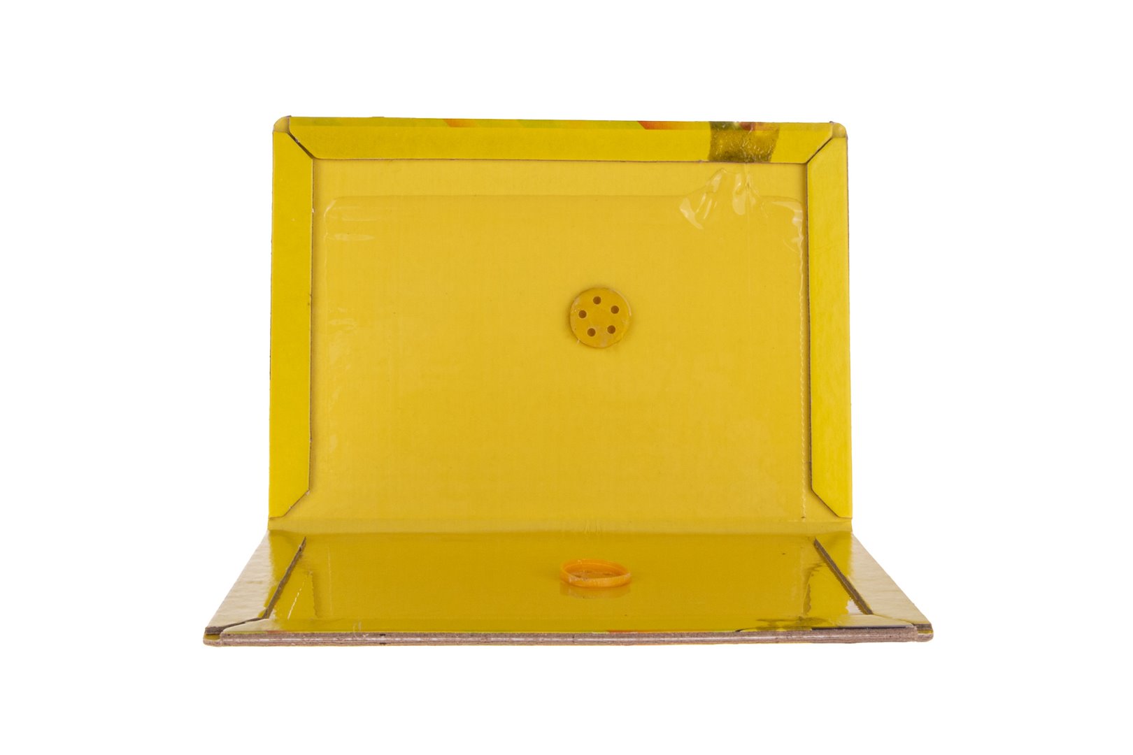 Glue Mouse Trap