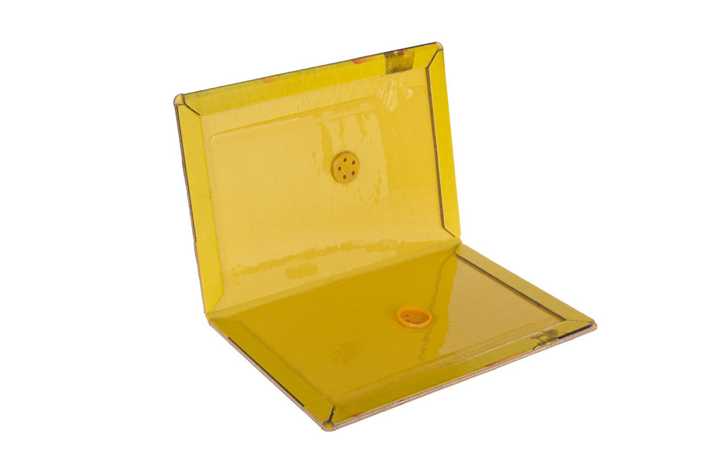 Glue Mouse Trap
