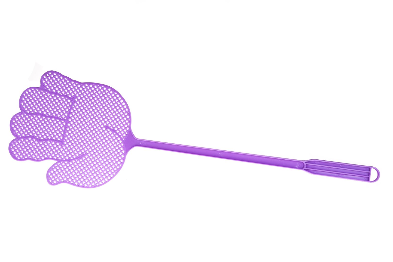 Bug and Fly Swatter