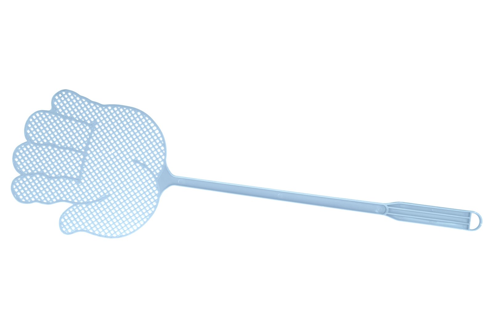 Bug and Fly Swatter