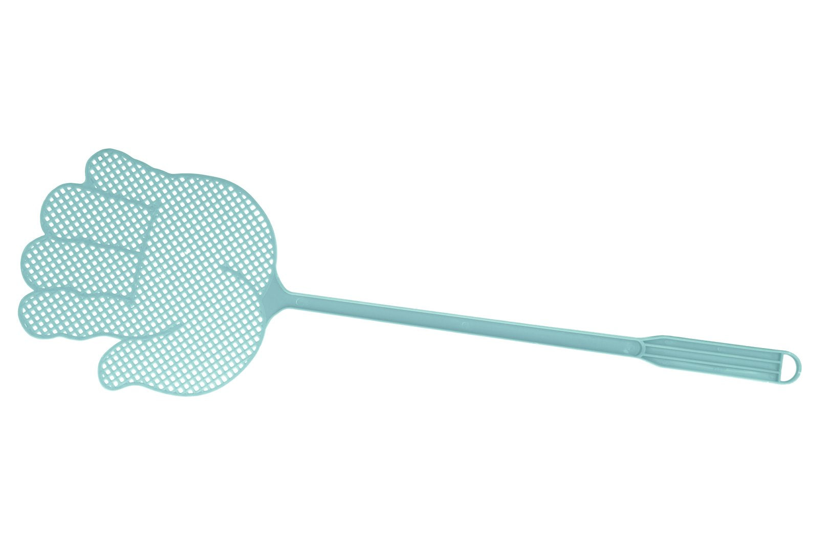 Bug and Fly Swatter