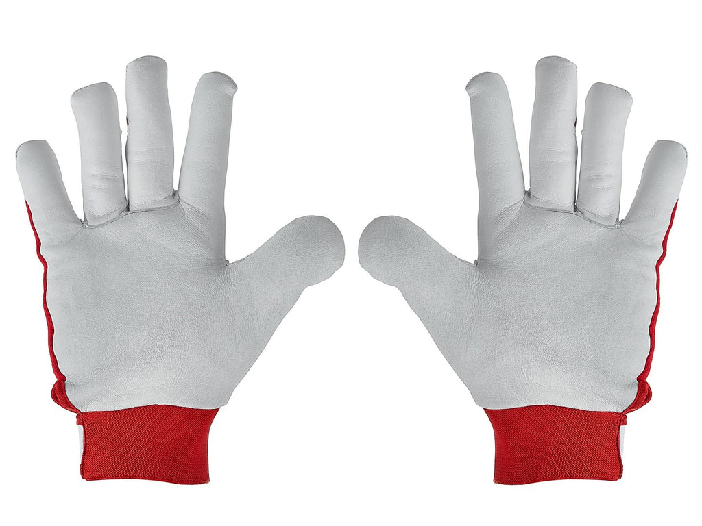 Goat leather winter gloves, elastic cotton back, velcro cuff s.10 – Pack of 12