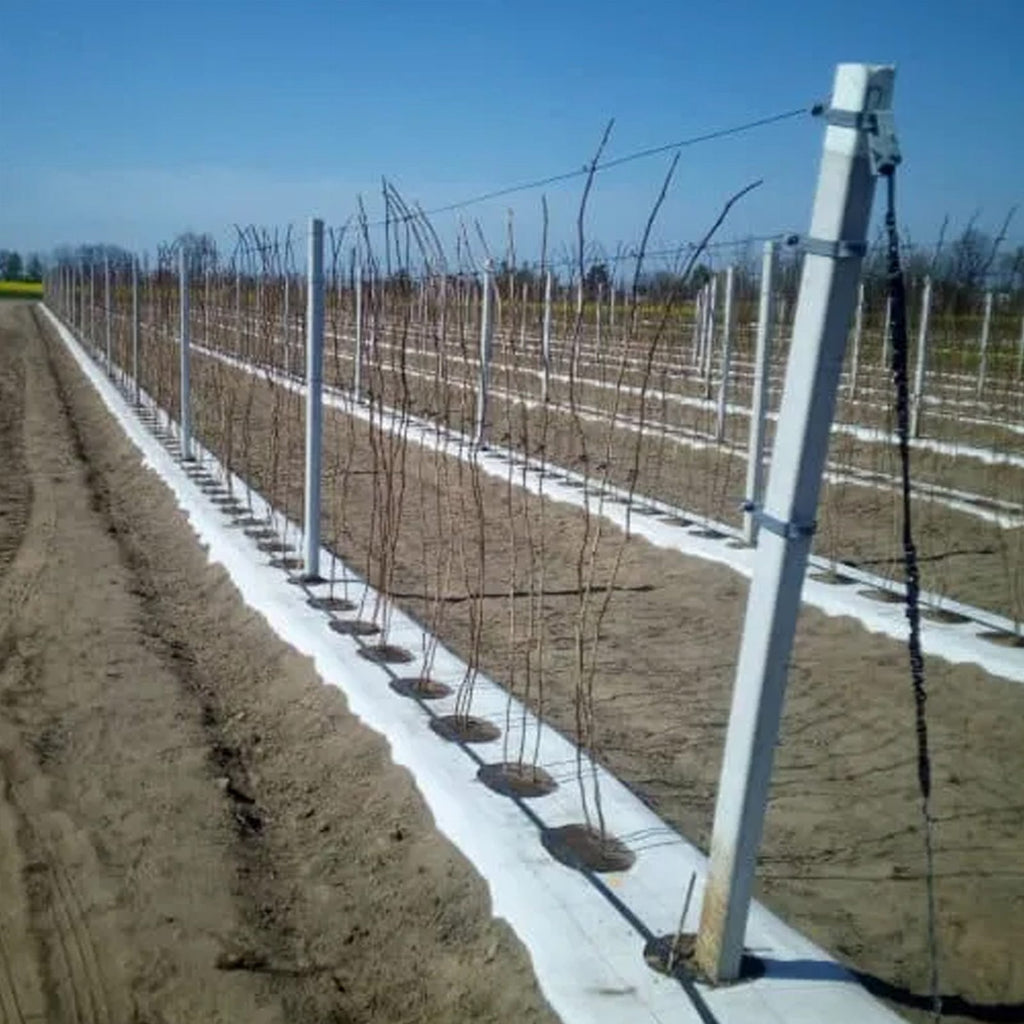 Weed Control Fabric 100g 1.6x50m White UV