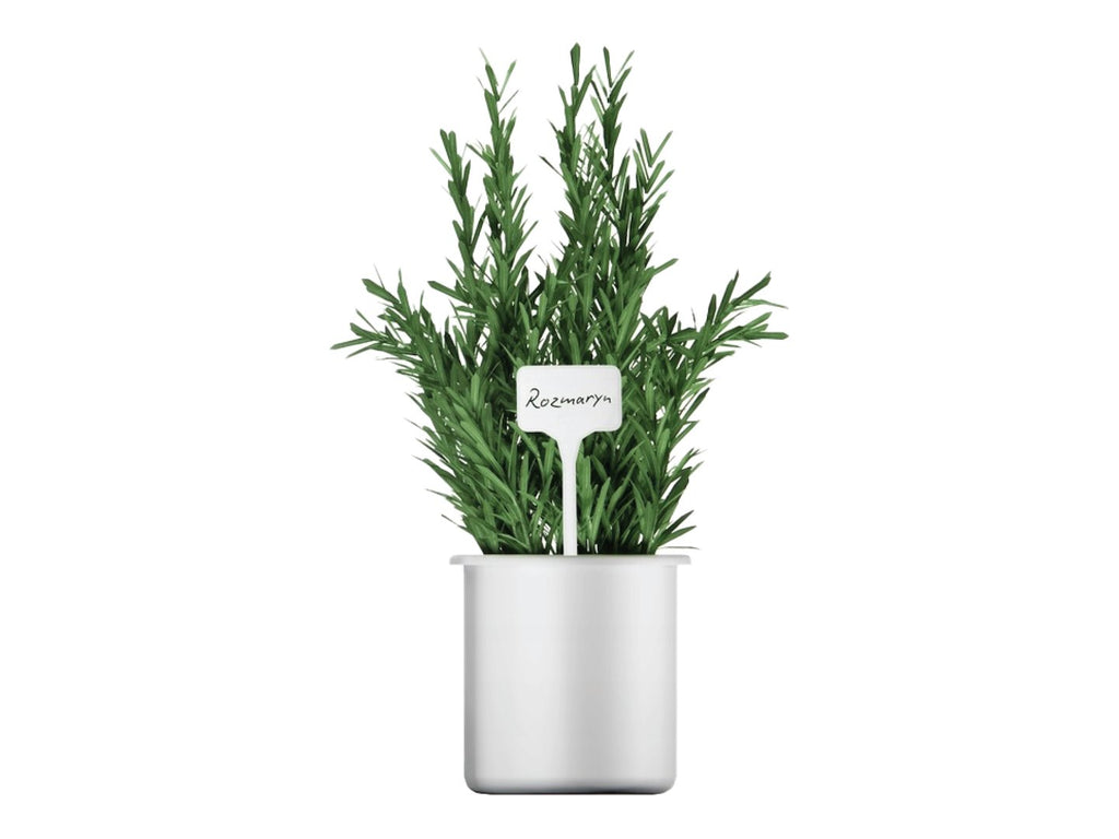 Plant Label Tags 15 × 6 cm – 10 pcs