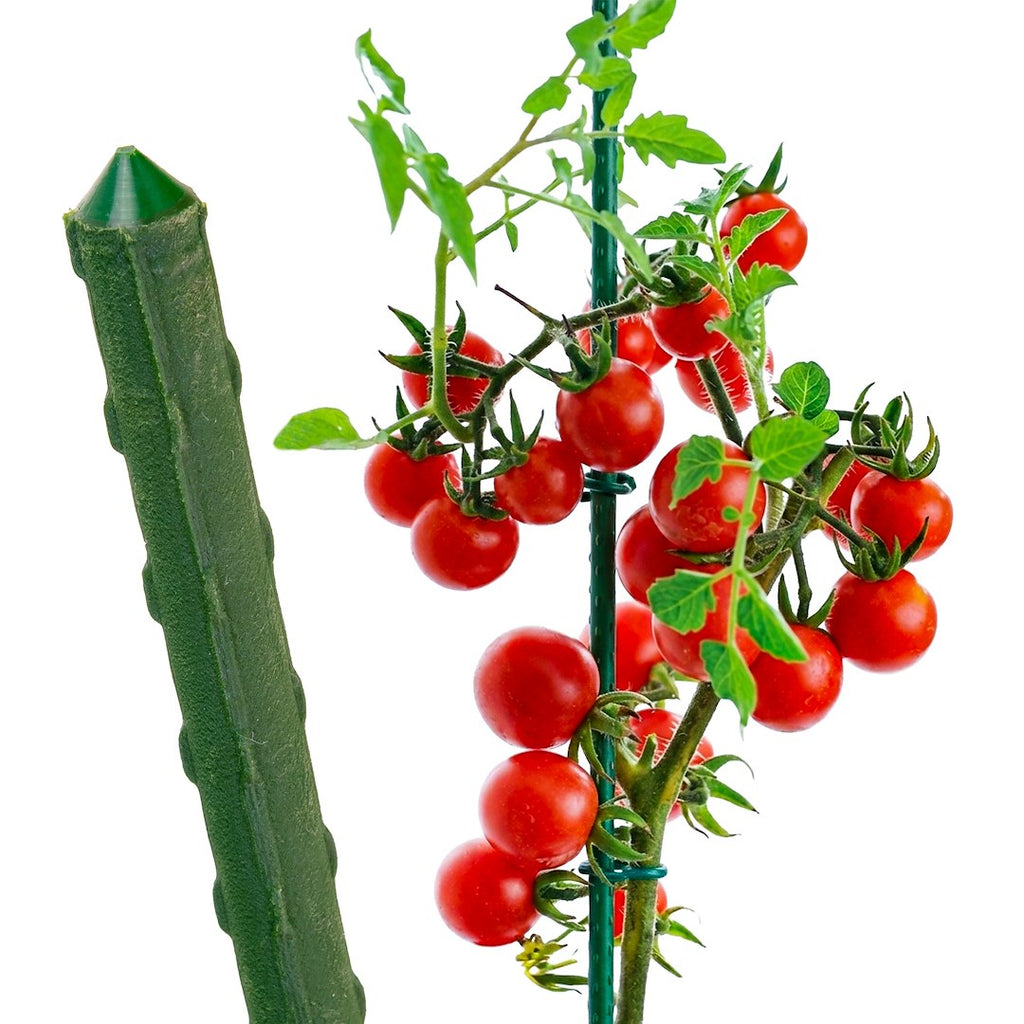 PVC-Coated Steel Garden Stake 11 mm × 90 cm