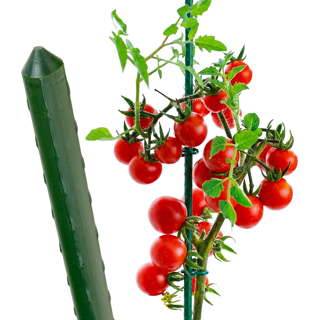PVC-Coated Steel Garden Stake 20 mm × 180 cm