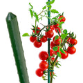 PVC-Coated Steel Garden Stake 20 mm × 180 cm