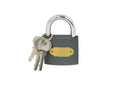 Iron Light-Duty Padlock, 50 mm