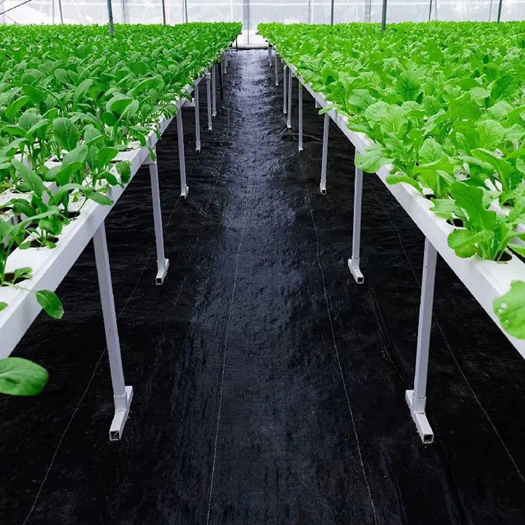 UV-kindel must umbrohutõrjekangas 90 g/m² 0,8 × 50 m I-S-2-3
