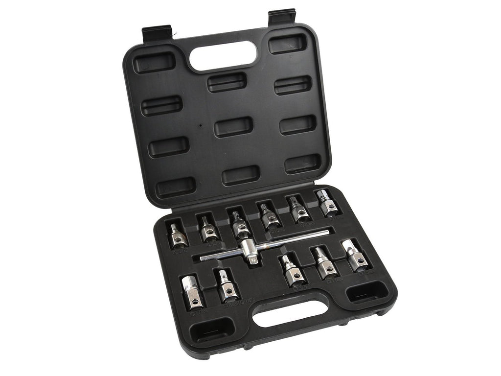 12 pcs Square and Hex Oil Drain Wrench Set with 3/8" Sliding Bar