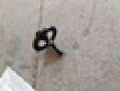 KNOB/WHEEL KD1734