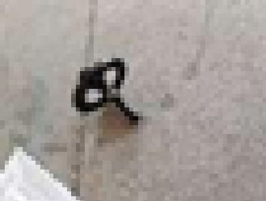 KNOB/WHEEL KD1734