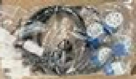 STEP MOTOR KD681