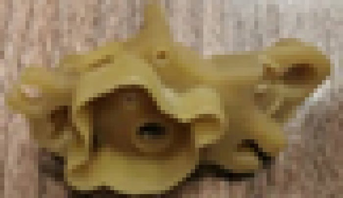 ENGINE FRAME KD192
