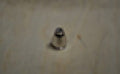 NOZZLE FOR WELDER KD1848 no.1134