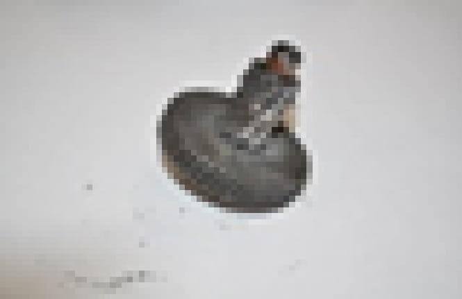 DRIVE MODES FOR EC541 MIXER no.759