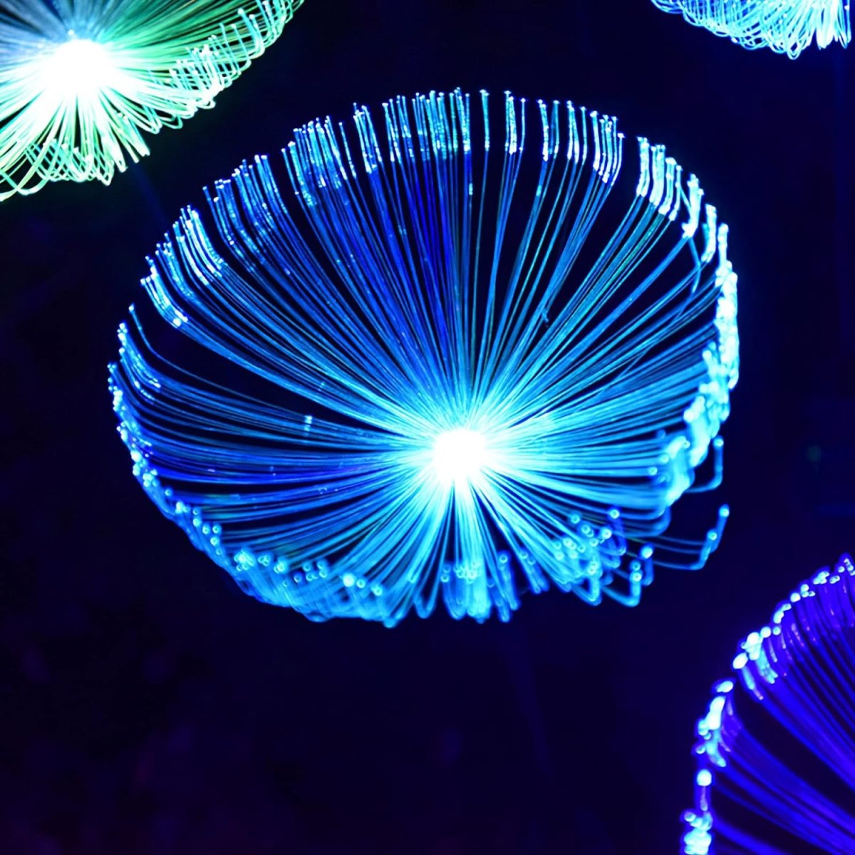 2-tk päikesepatareiga LED-meduusikujulised aiatuled (2tk) (VA13)