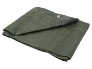 PE Tarpaulin sheet 6x10m green/thick