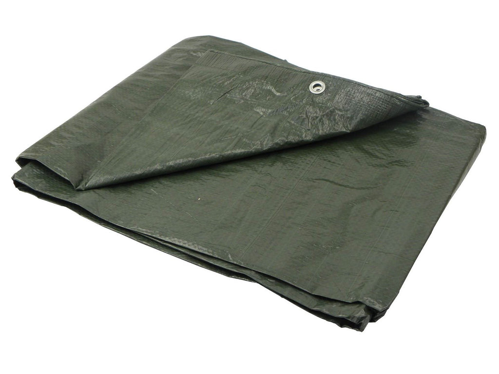PE Tarpaulin Sheet 10x12m Green/Thick