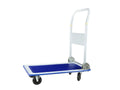 Platform Hand Truck 150 kg