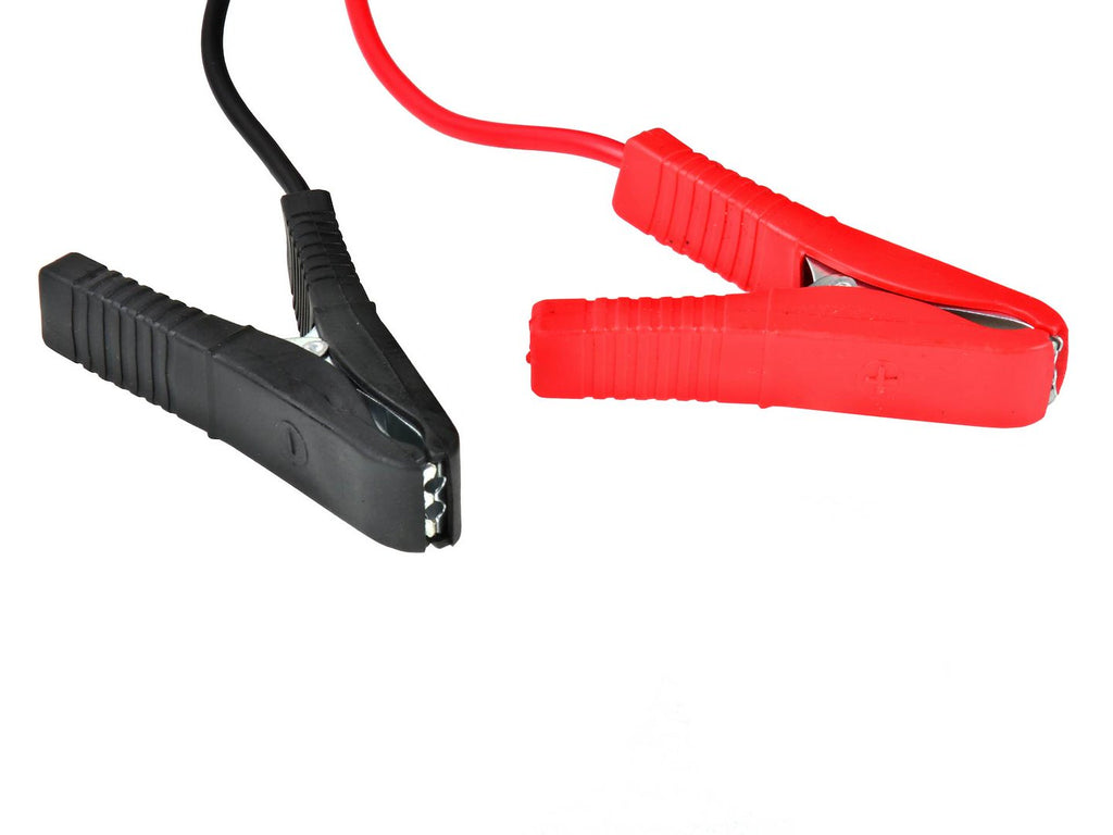 Battery charger with Euro plug