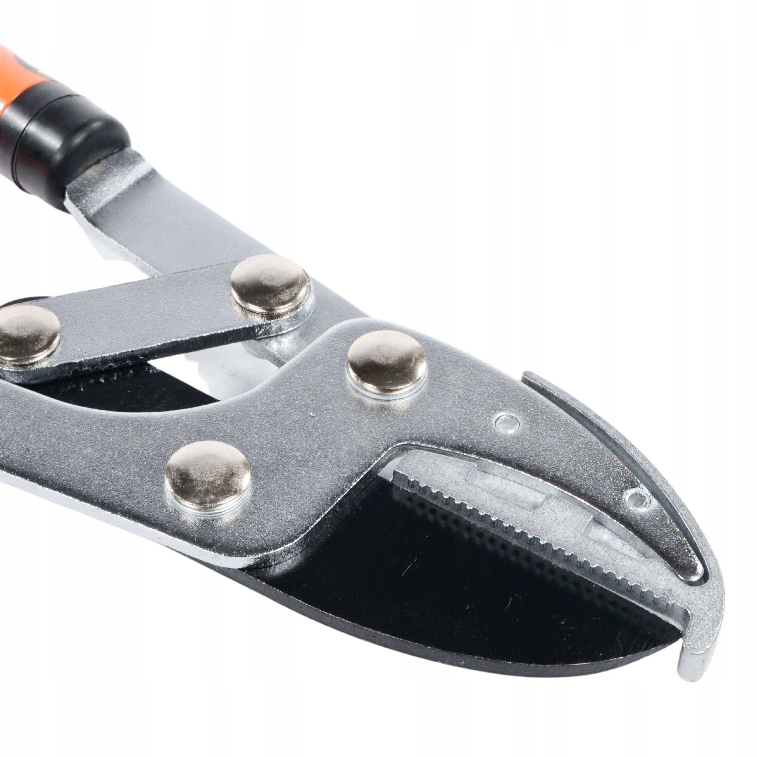 Telescopic Anvil Pruner, 55mm Cutting Capacity