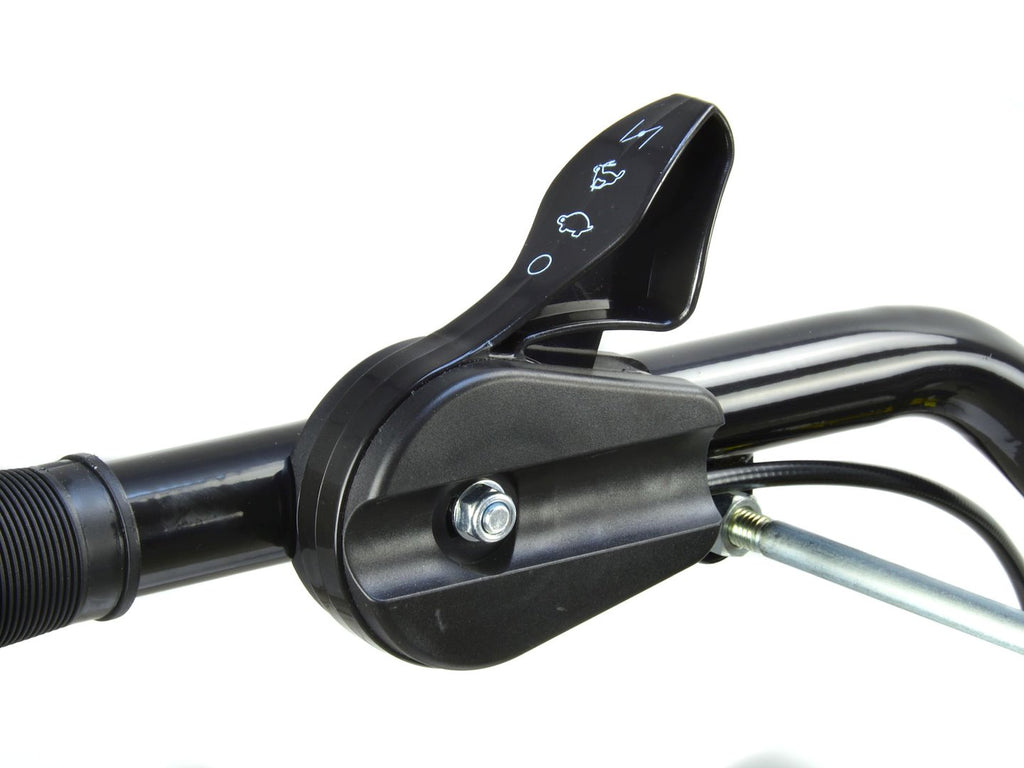 Gasoline Tiller 5.0HP 56cm