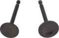 VALVE SET KD100 no.366