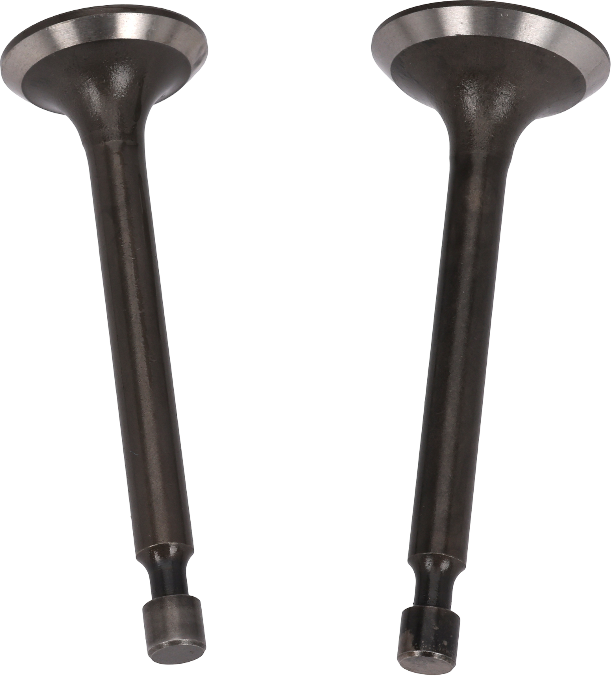 VALVES FOR KD110 no.1998