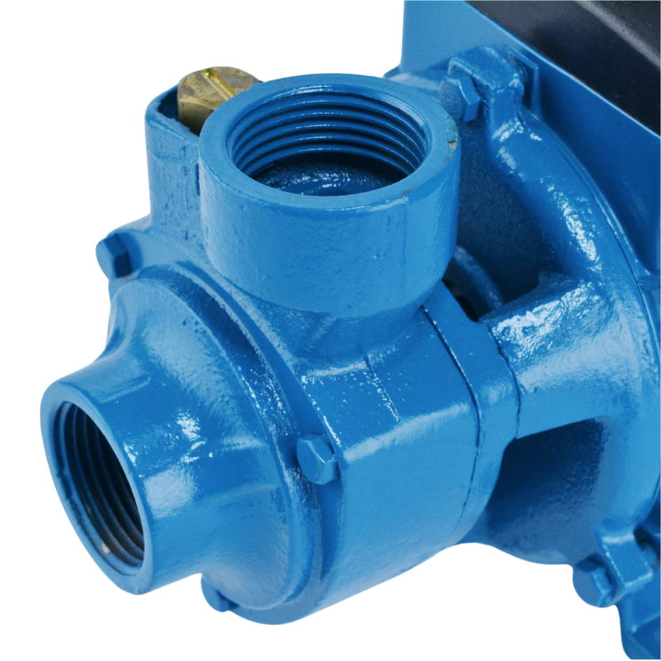 Black Garden Pump 900W – High Performance with IP68 Protection for Clean Water