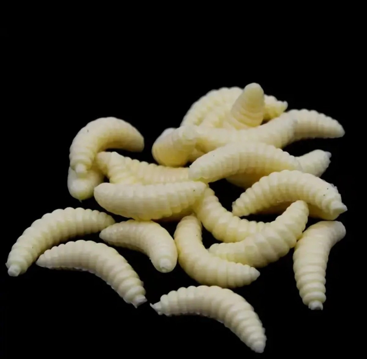 50 tk Pehme bioniline ussileiva sööt kalapüügiks (50 tk)