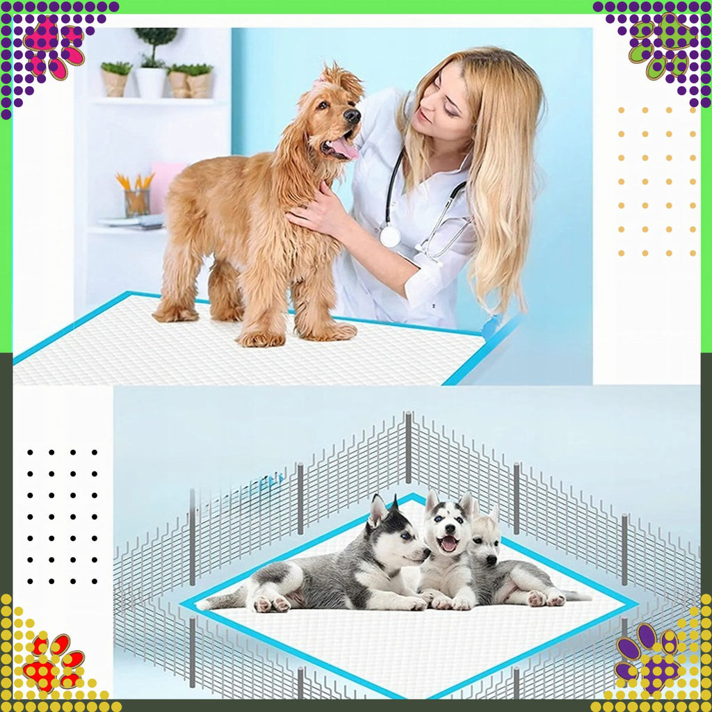 XL paksud sinised koera treeningu pissimatid 60 × 60 cm 20 tk RC-K-1510