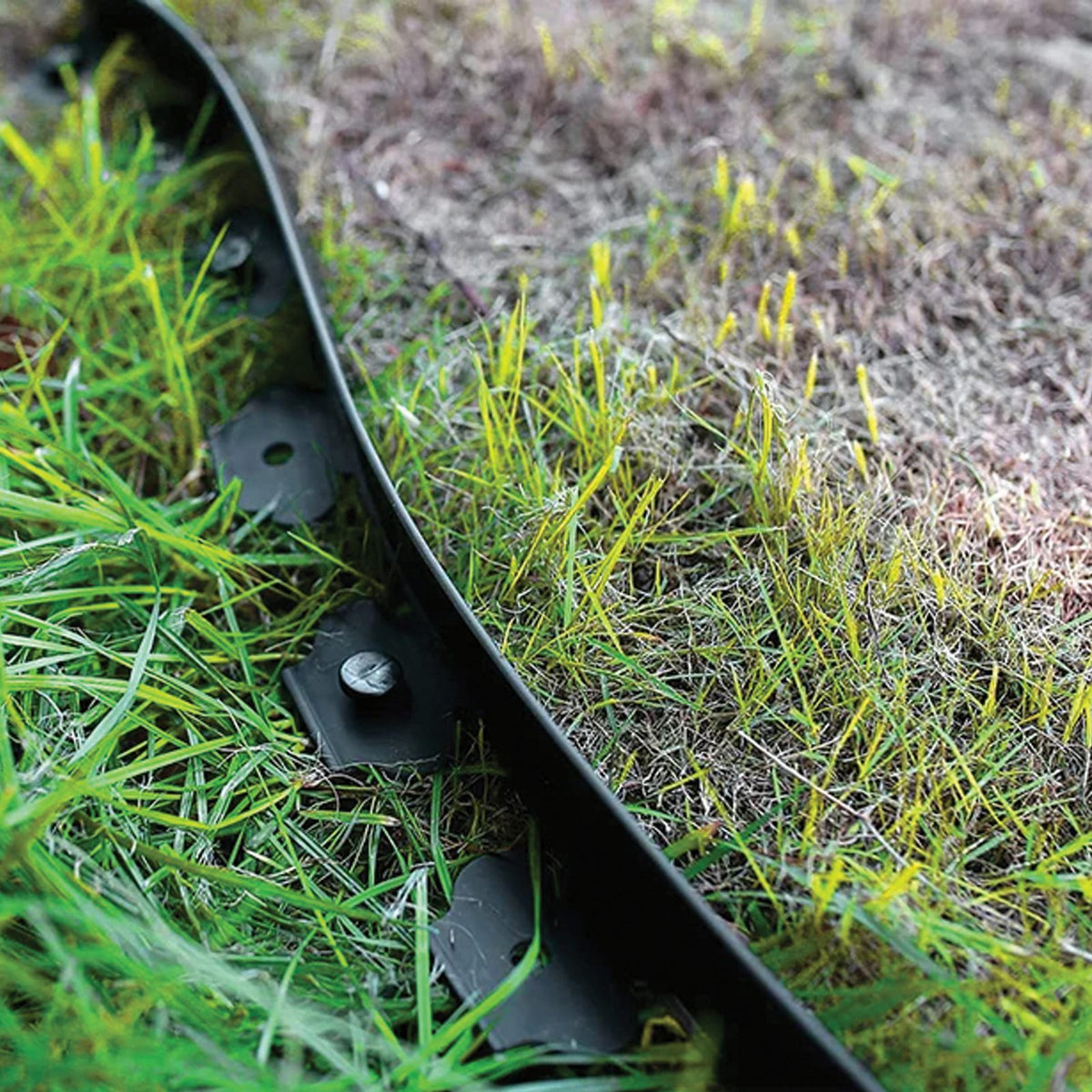 Garden Lawn Edging Set 60mm x 50mm x 10m with 30 Black Anchors