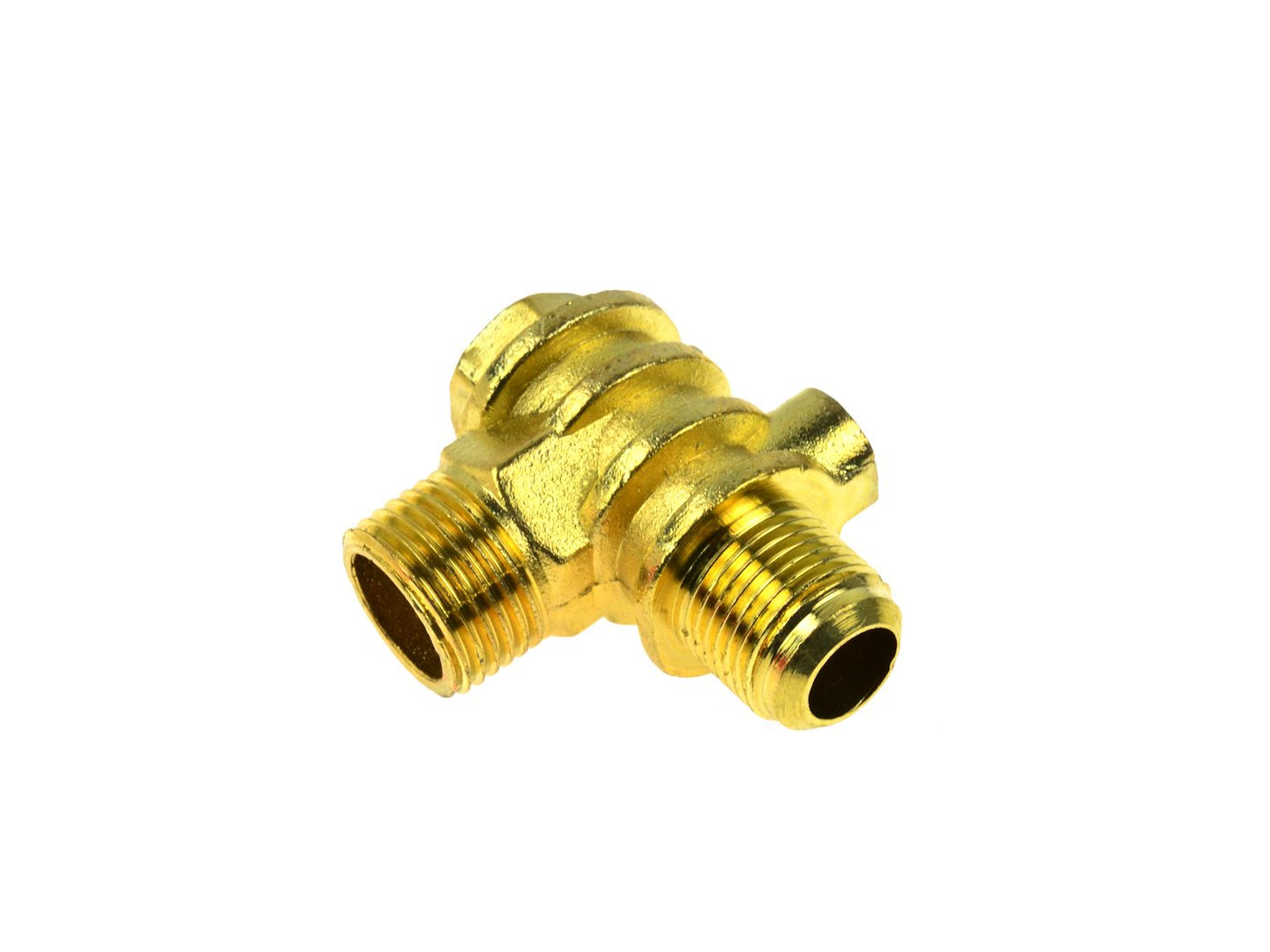 Check Valve for 100 L Air Compressor (G80302)