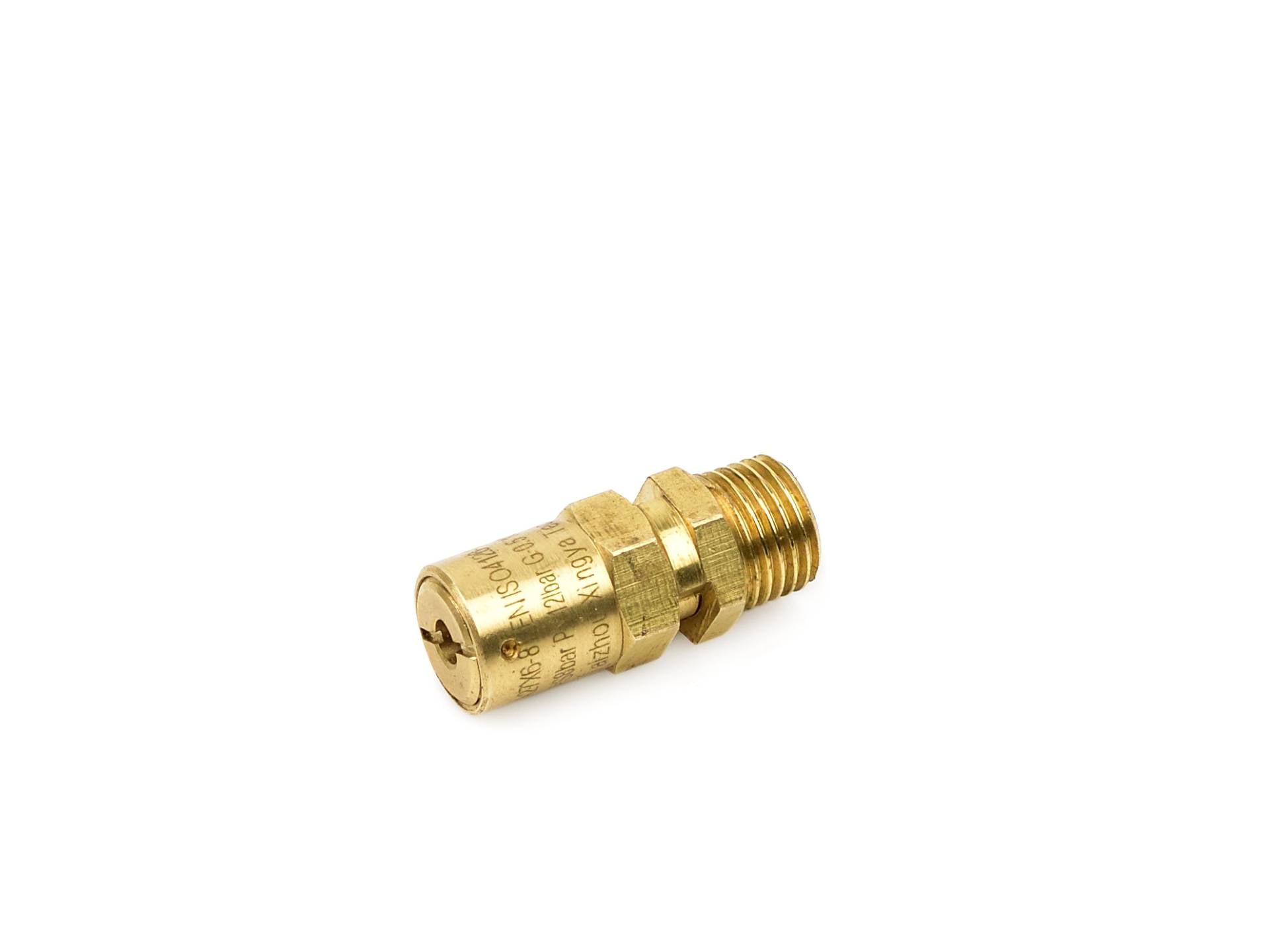 Safety Valve for 100L Air Compressor (G80302)