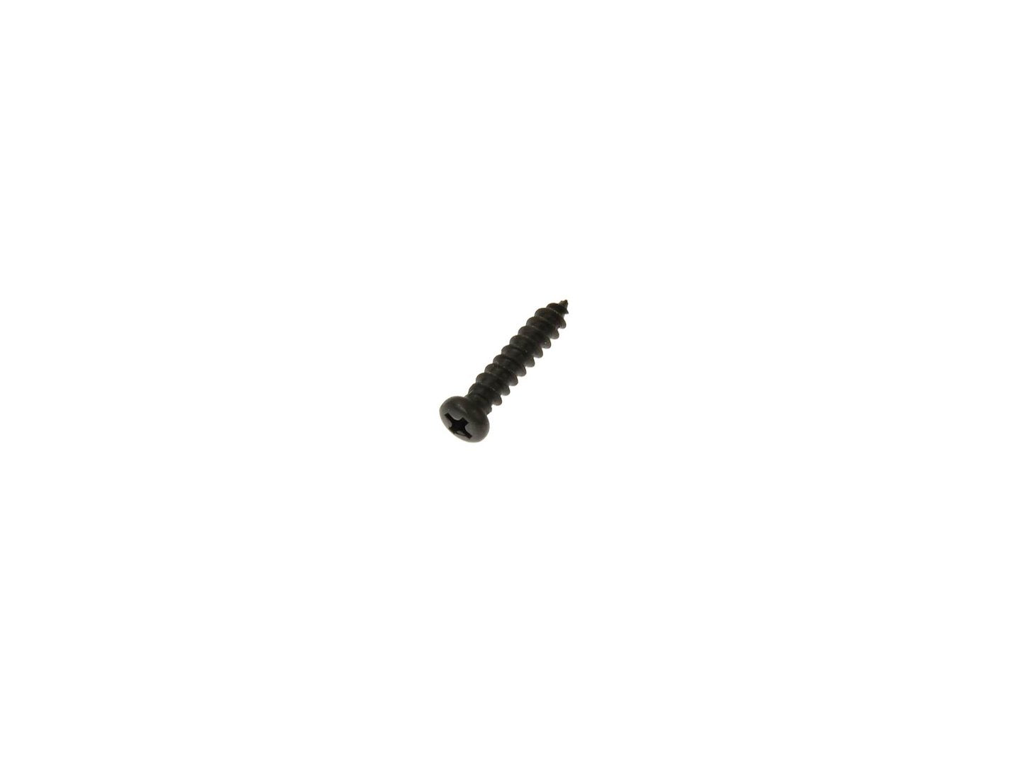 Screw No. 13 for Polishing Device