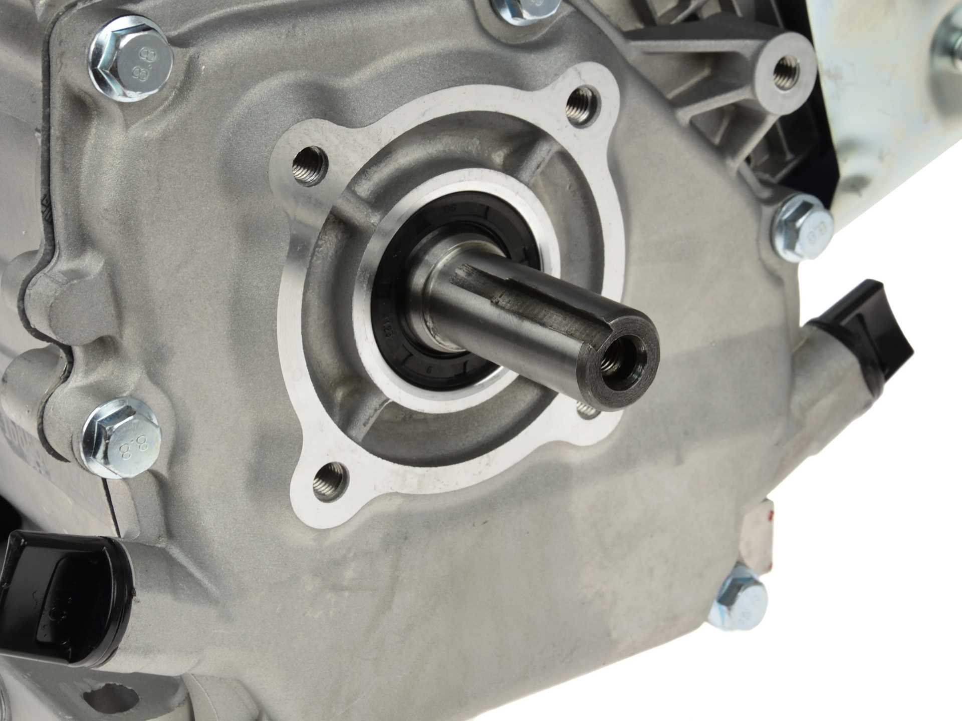 6.5HP Gasoline Engine with Oil Alert