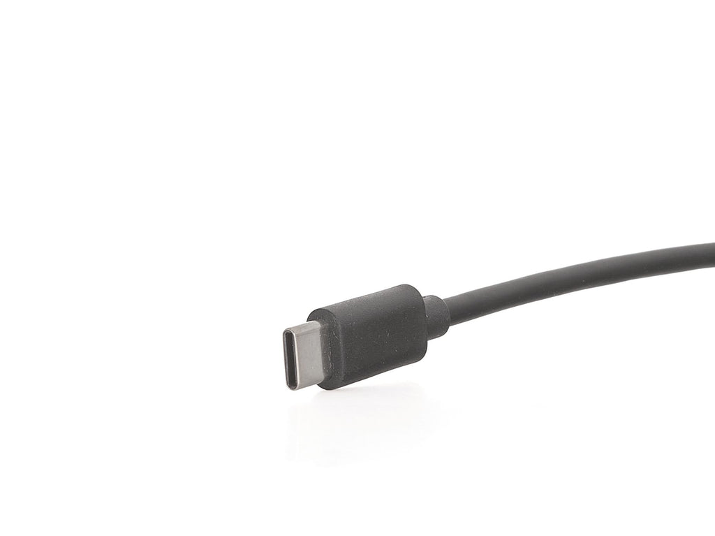 2 m endoscope with 5.5 m diameter camera