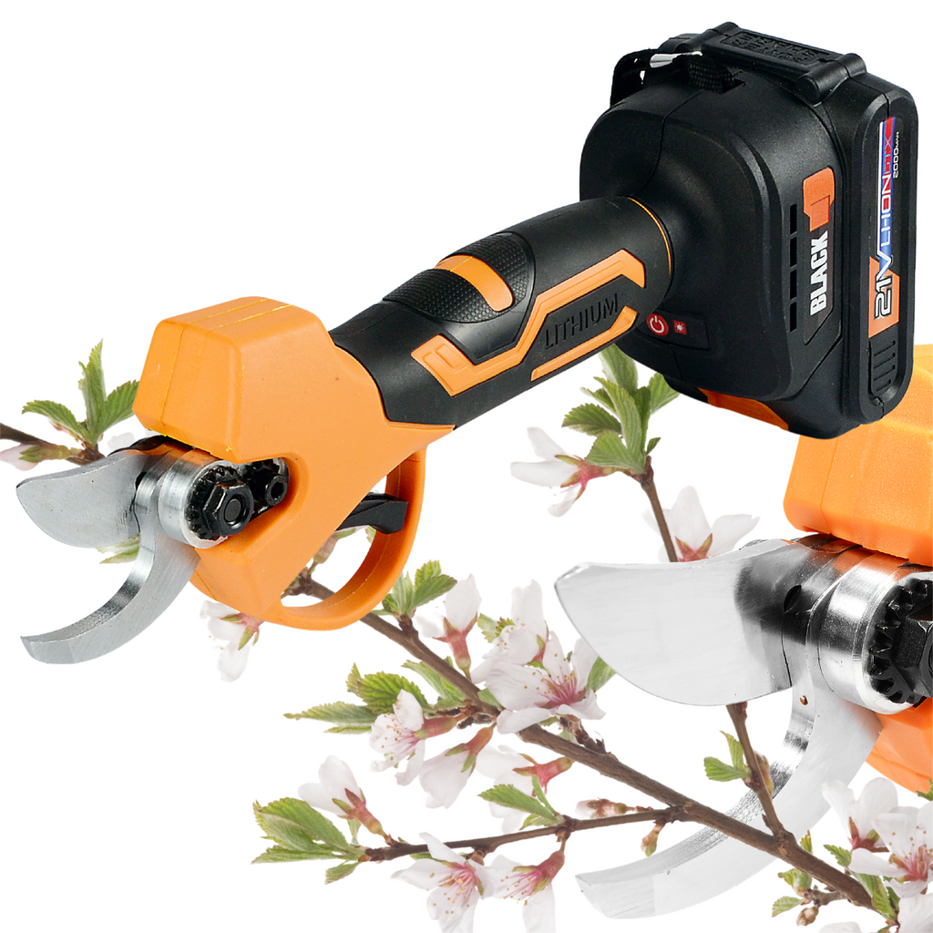 2-ühes juhtmevaba tööriistakomplekt: saag ja oksalõikur 2 x 2Ah akuga