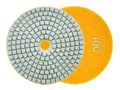 Diamond Polishing Pad 100mm G100