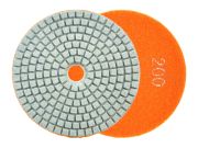 Diamond Polishing Pad 100mm G200