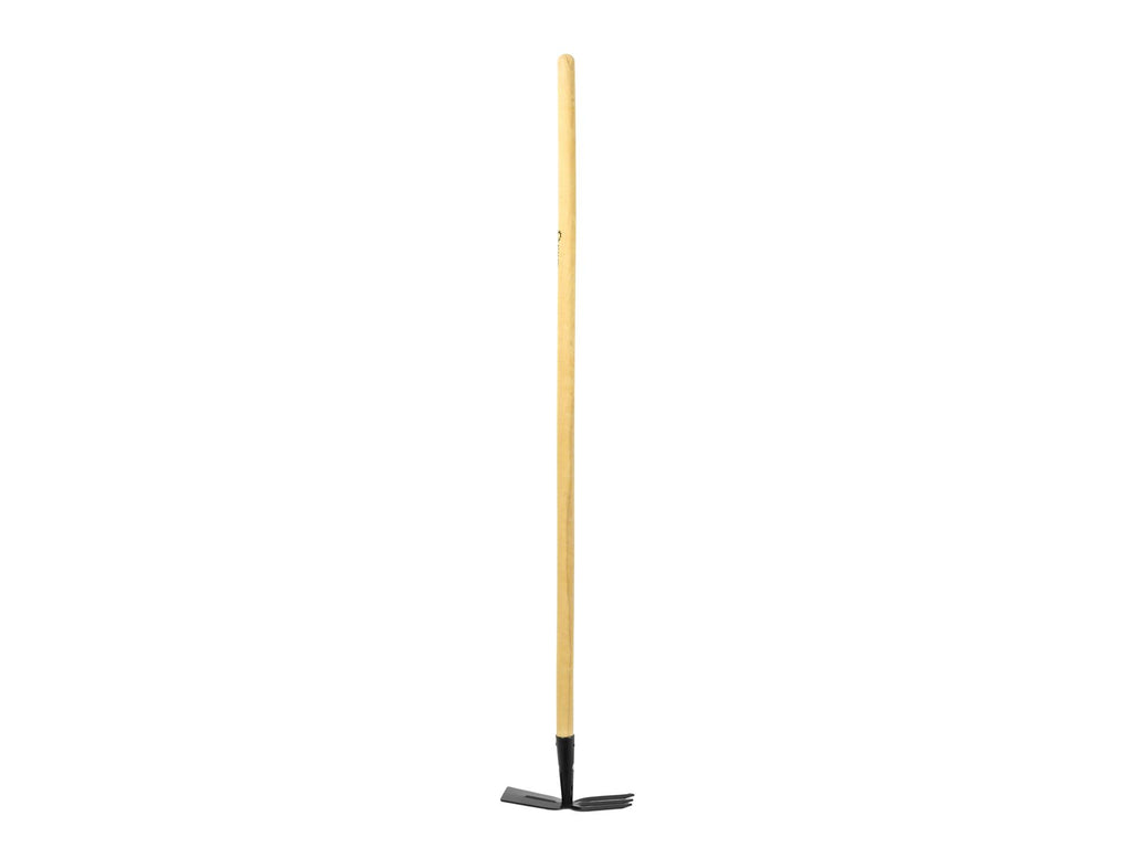 Cultivator and Hoe