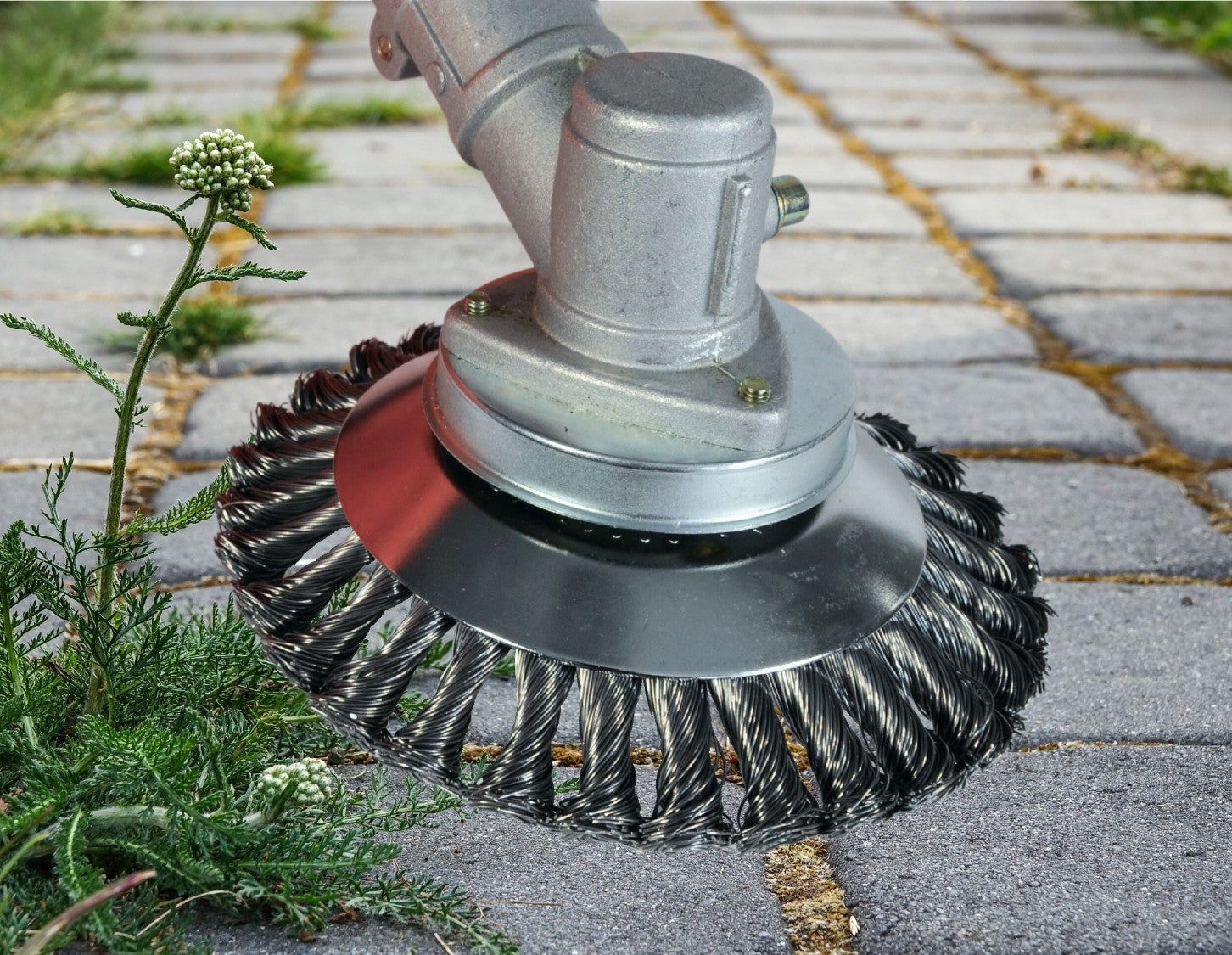 Druciak Wire Brush Disc for Gasoline Scythe - Black, for Weeds on Paving Stones