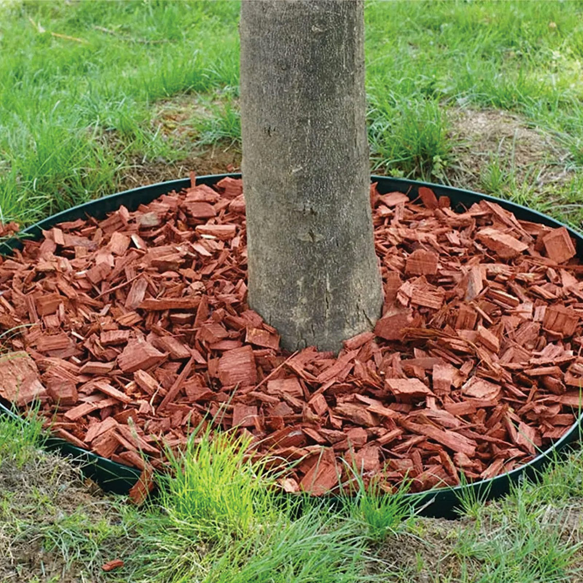 Garden Lawn Edging Set 60mm x 50mm x 10m with 30 Black Anchors