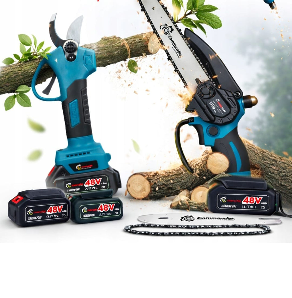 2-IN-1 SET SAW + PRUNER 650W (C14)
