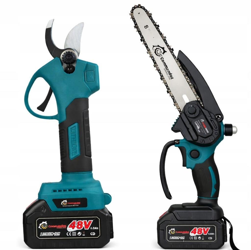 2-IN-1 SET SAW + PRUNER 650W (C14)